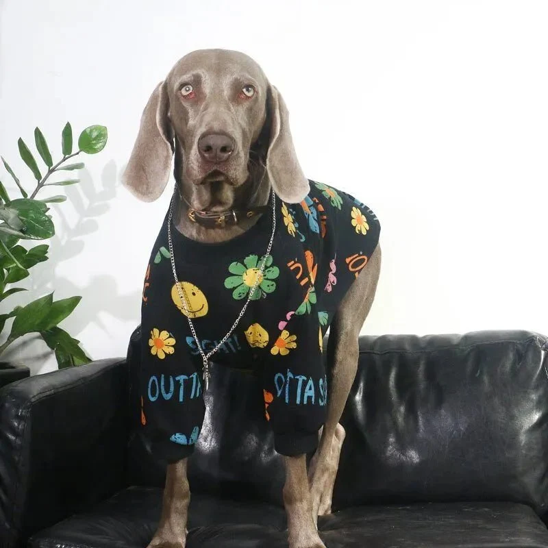 Capa / Camisola para Cães