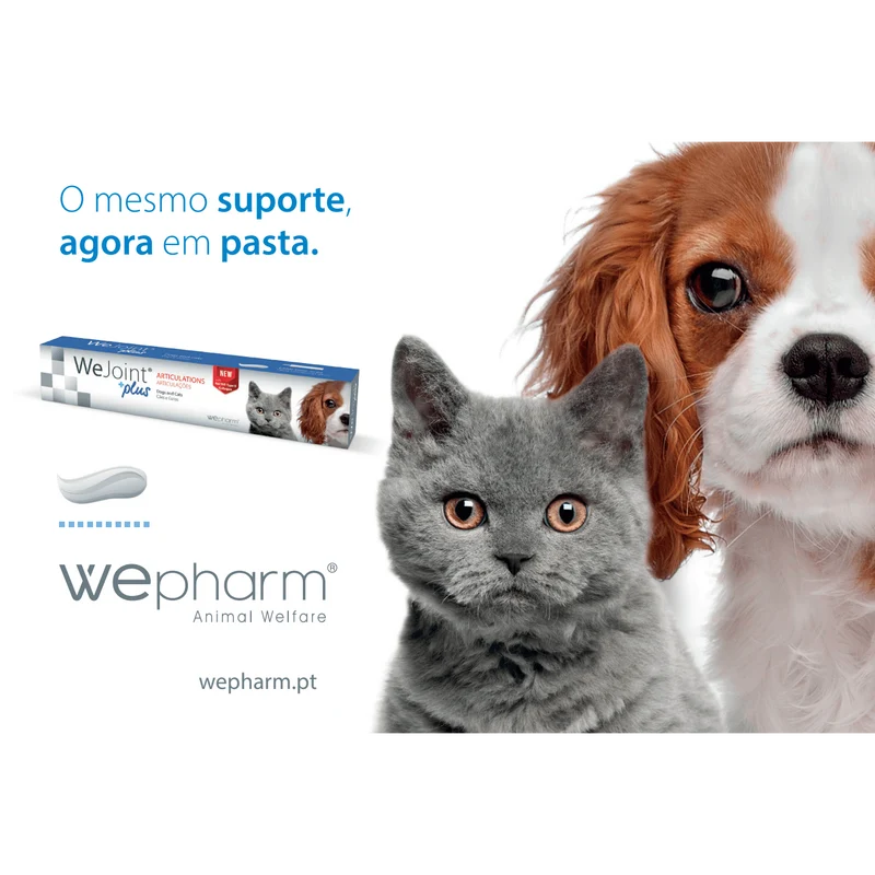 WeJoint Plus Pasta 50g (30 ml) - Suplemento para Articulações de Cães e Gatos | Wepharm