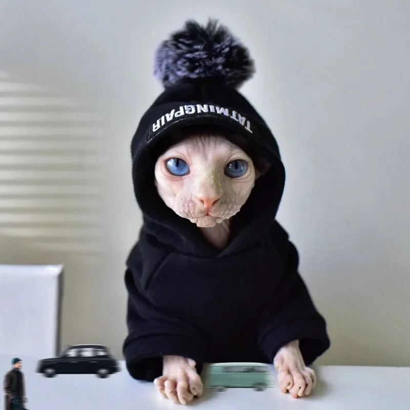 Camisola Quente com Gorro para Gatos (Especialmente indicada para Sphinx)