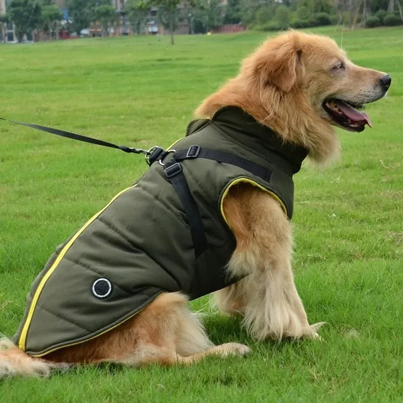 Colete / Blusão Quente e Impermeável para Cães com Arnês Integrado