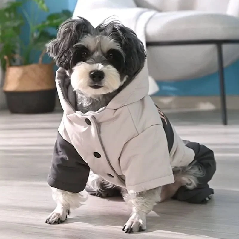 Blusão / Gabardine Impermeável com Capuz para Cães de Raça Pequena e Média