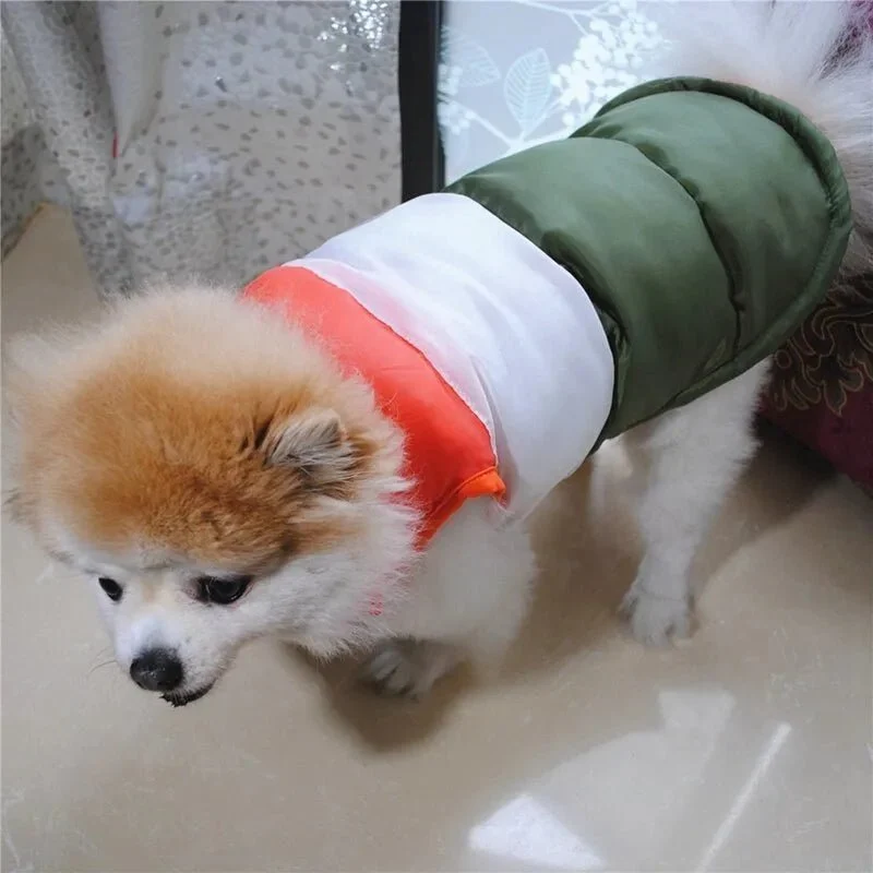 Colete Impermeável e Quente para Cães de Raças Pequenas e Médias (Outono / Inverno)