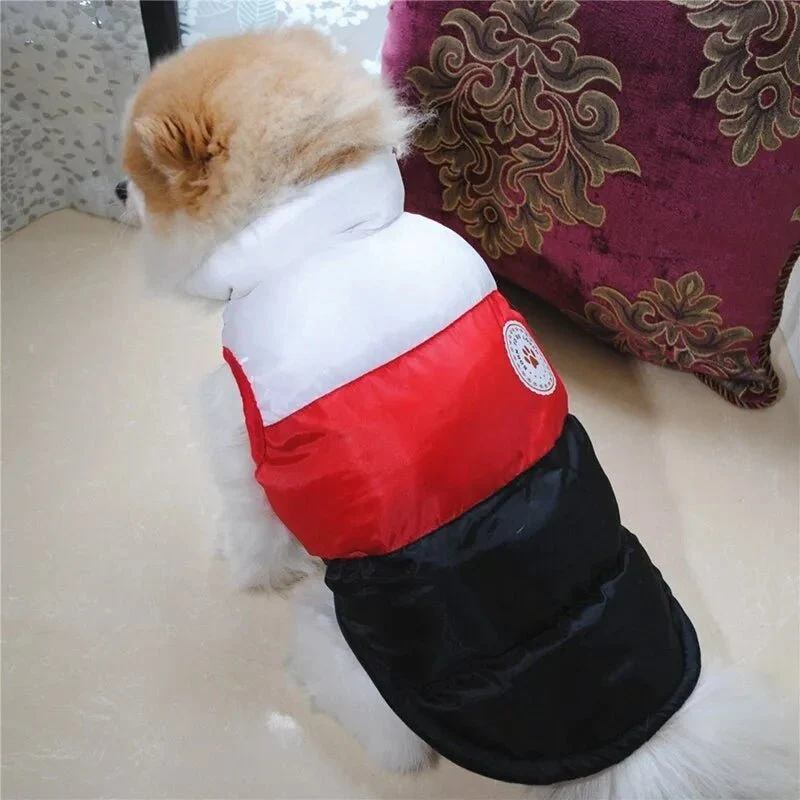 Colete Impermeável e Quente para Cães de Raças Pequenas e Médias (Outono / Inverno)