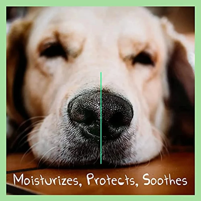 Bálsamo para o Nariz dos Cães - Natural e Sem Fragrância com Manteiga De Karité, Vitamina E e Cêra De Abelhas - Creme Nasal Reparador e Hidratante
