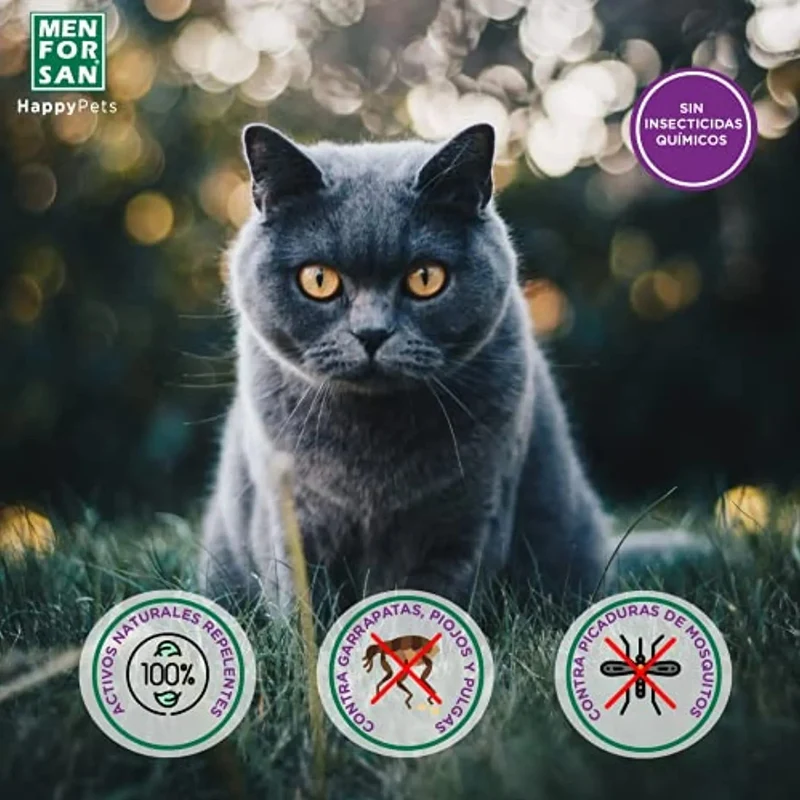 MENFORSAN Pack de 4 Produtos anti-parasitários para Gatos - 4 Produtos repelentes: Coleira, Champô, Spray e 2 Unidades de pipetas Anti Insectos