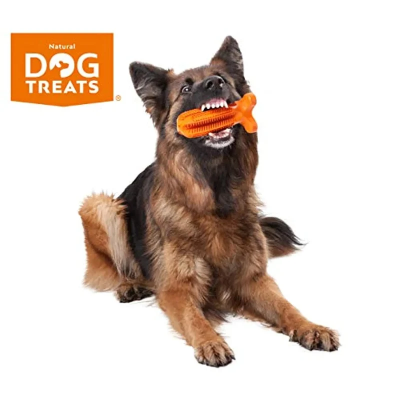 Conjunto de Escova de Dentes e Pasta de Dentes "Natural Dog" para Cães, 100% Natural