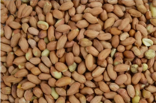 Geschälte Erdnüsse 1 kg - Garden Heroes