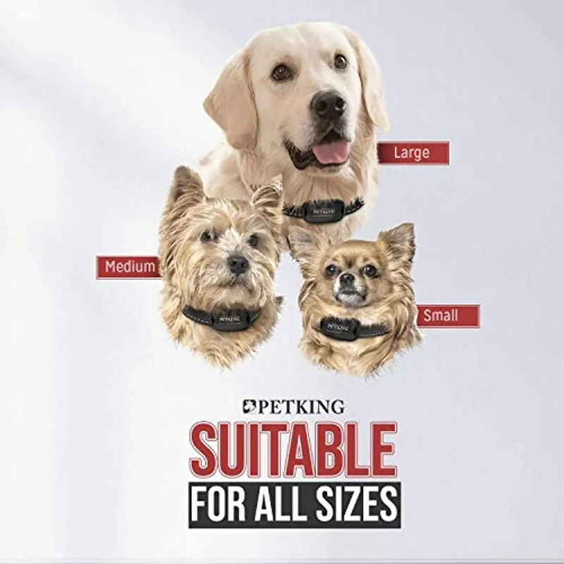 Coleira Premium Anti-latidos para Cães Pequenos e Grandes (Coleira de treino anti-latido: funciona por vibração)