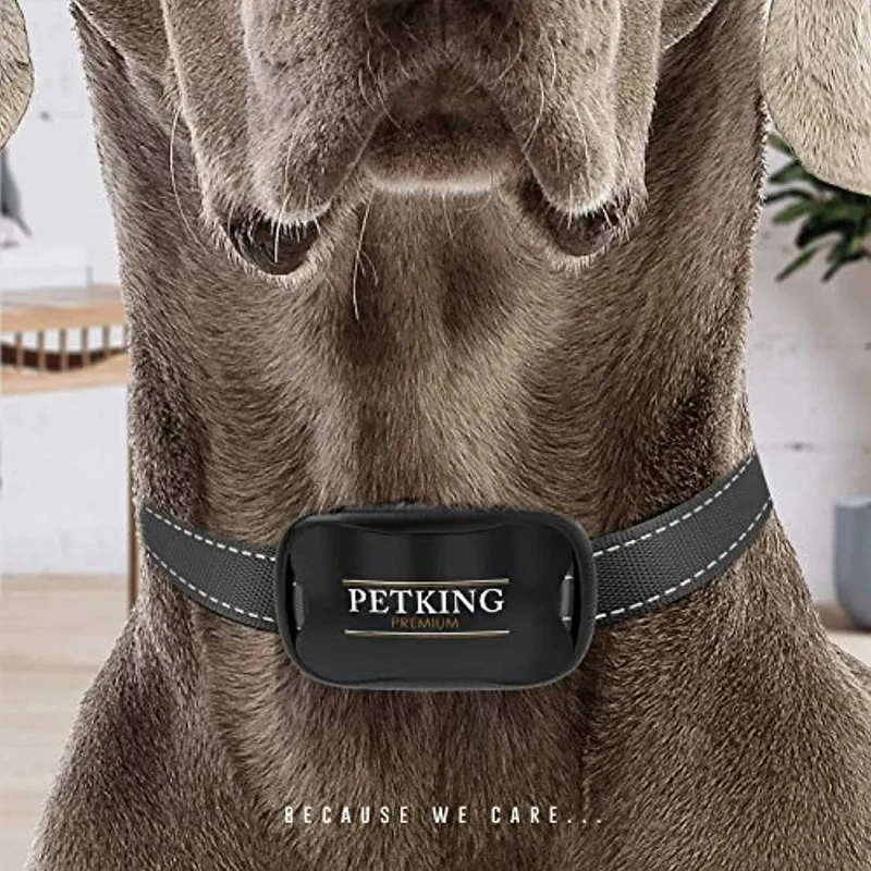 Coleira Premium Anti-latidos para Cães Pequenos e Grandes (Coleira de treino anti-latido: funciona por vibração)