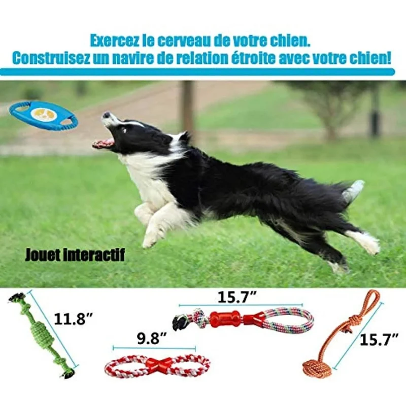 Conjunto de brinquedos e jogos para Cães (10 peças diferentes)