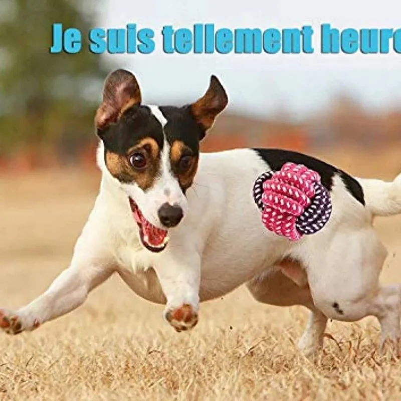 Conjunto de brinquedos e jogos para Cães (10 peças diferentes)