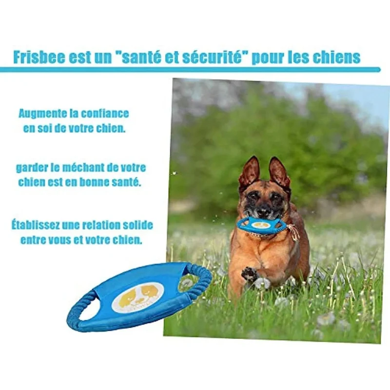 Conjunto de brinquedos e jogos para Cães (10 peças diferentes)