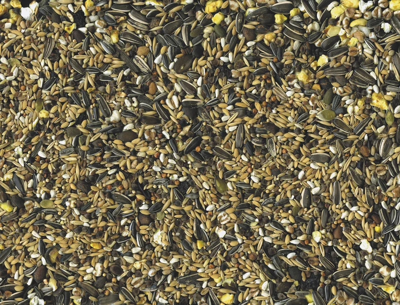 Papageienzustand 15 kg – Vadigran