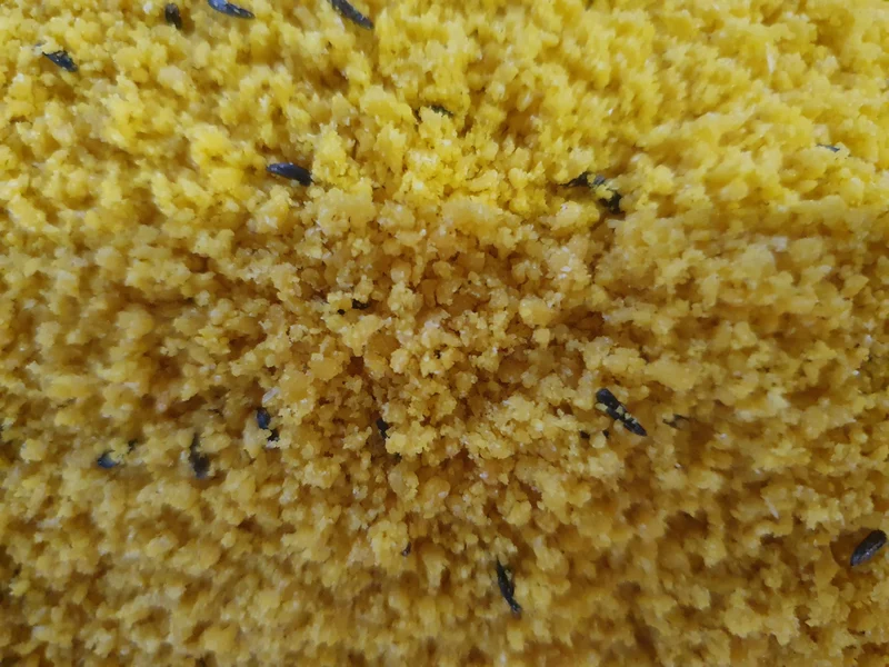 Giallo Morbido 5kg (mit Honig) - Pineta Zootecnisi