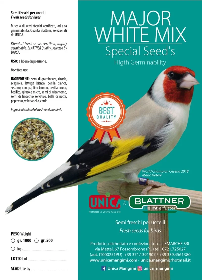 Major White Mix 500 Gramm – Spezialsamen – Hohe Keimkraft – Unica & Blattner
