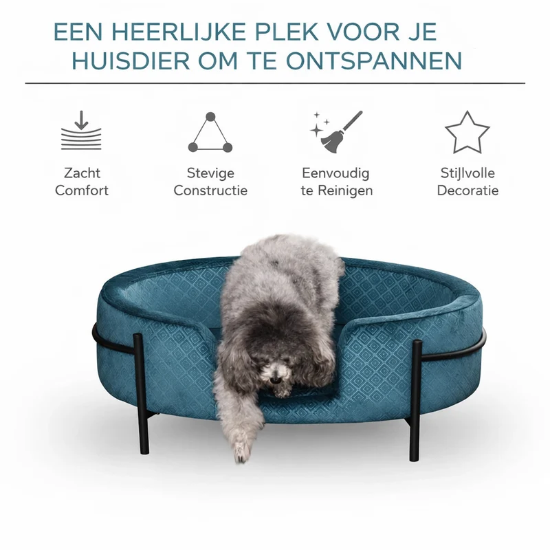 Gemütliches Sofa – JACK VELVET GREEN – Hundekorb 61 x 42 cm