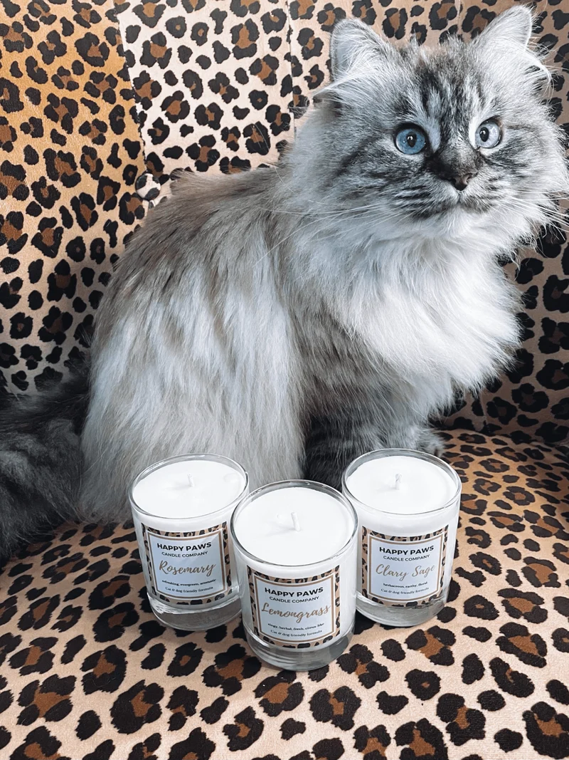 Rosemary - Vela Aromática de Alecrim 'Pet Friendly'