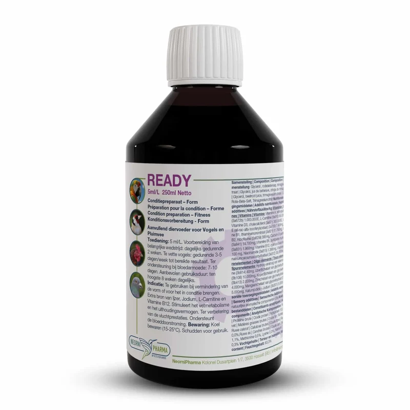 Ready 250ml (Extra Energieschub, Vit B12, L-Carnitin) - Neornipharma
