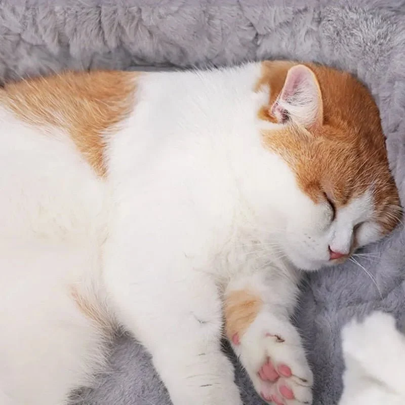 Cama / Toca para Gatos - Macia e Muito Confortável