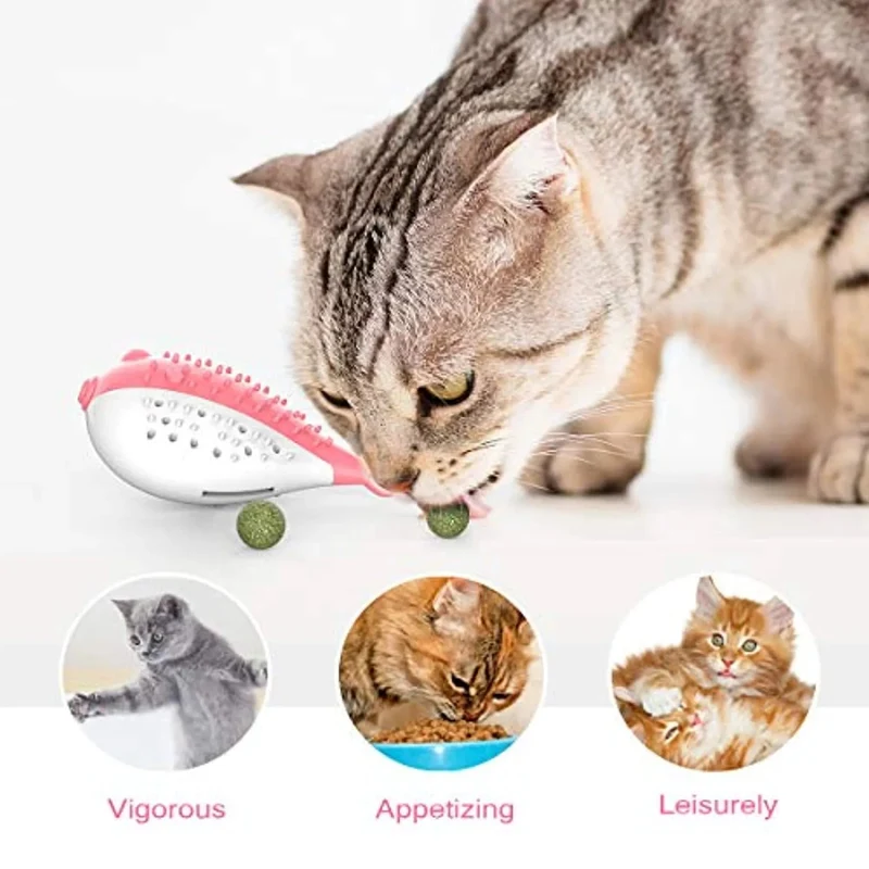 Escova de Dentes / Brinquedo para Gatos - Dentes limpos - Resistente à mastigação