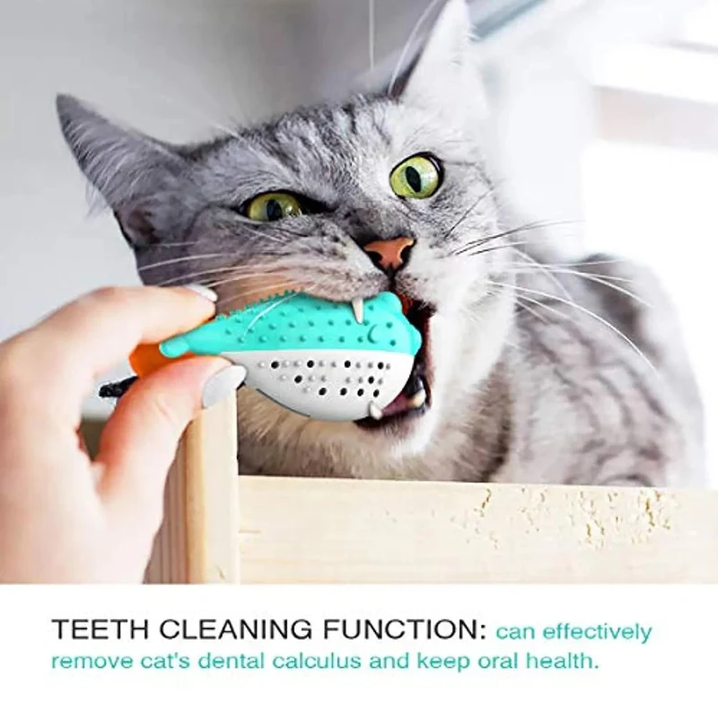 Escova de Dentes / Brinquedo para Gatos - Dentes limpos - Resistente à mastigação