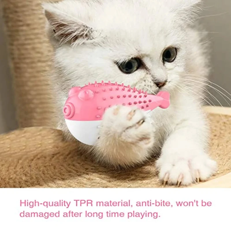 Escova de Dentes / Brinquedo para Gatos - Dentes limpos - Resistente à mastigação