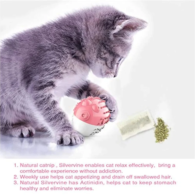 Escova de Dentes / Brinquedo para Gatos - Dentes limpos - Resistente à mastigação