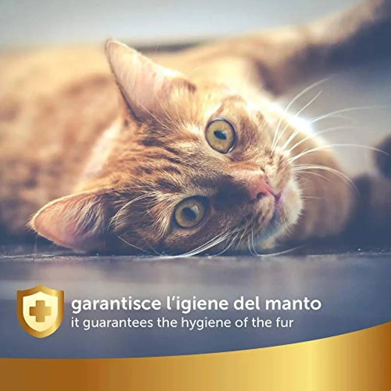 Champô a Seco Natural para Gato, 250 ml - Sem Necessidade de Água - Para uma Lavagem a Seco Eficaz