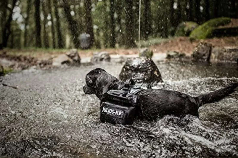 Julius-K9 - Bolsas Laterais para IDC-Powerharness