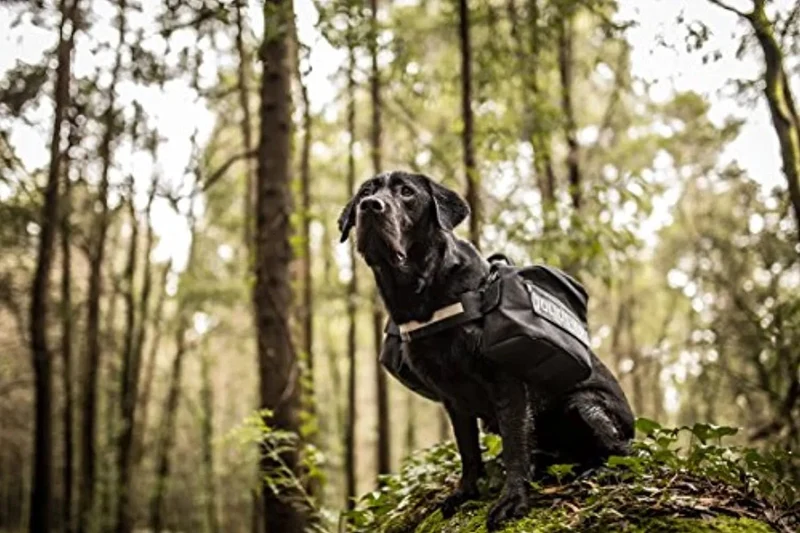 Julius-K9 - Bolsas Laterais para IDC-Powerharness