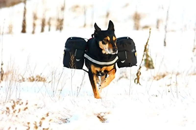 Julius-K9 - Bolsas Laterais para K9-Powerharness