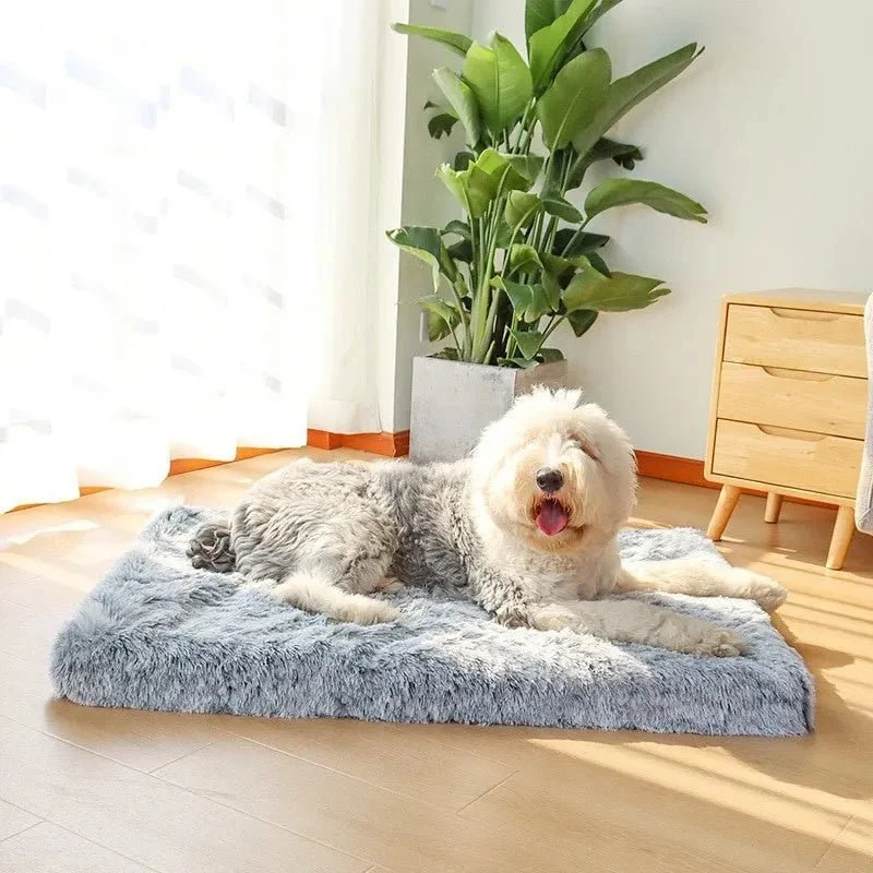 Cama Almofadada para Cães de todos os tamanhos, Super-Macia, Espuma Ortopédica