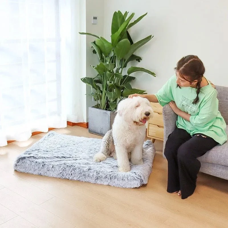 Cama Almofadada para Cães de todos os tamanhos, Super-Macia, Espuma Ortopédica