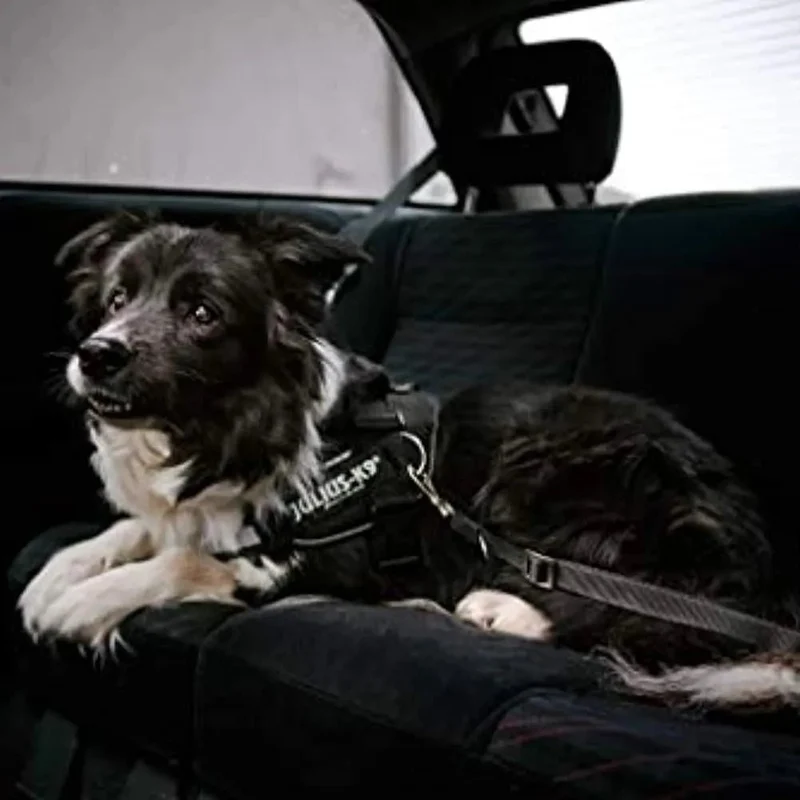 JULIUS-K9 Peitoral / Arnês IDC Powerharness com Aros Laterais