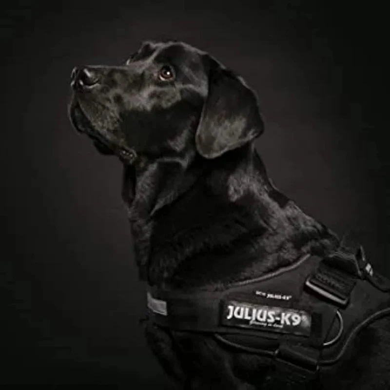 JULIUS-K9 Peitoral / Arnês IDC Powerharness com Aros Laterais