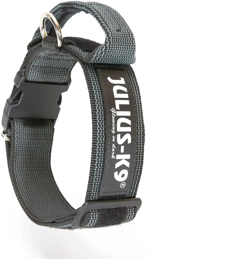 Coleira Julius-K9 - Cinza e Côr com pega, fecho de segurança e patch intermutável