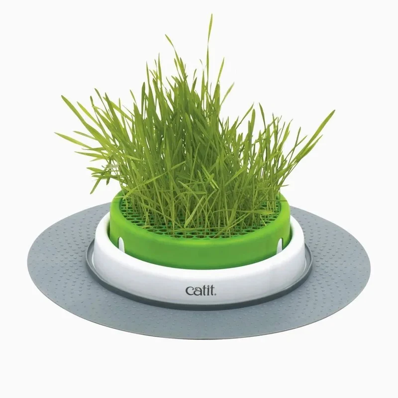 Kit Recarga Germinador para Vaso Erva Gateira (3 Unidades)