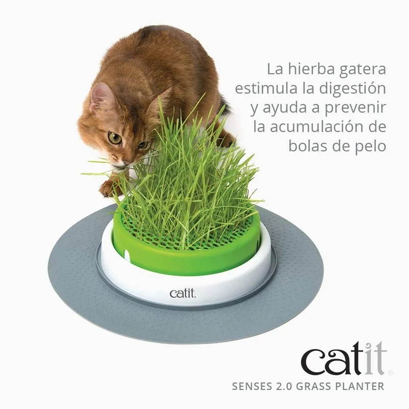 Kit Recarga Germinador para Vaso Erva Gateira (3 Unidades)