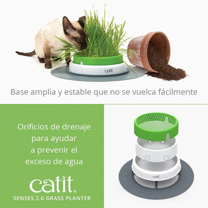 Kit Recarga Germinador para Vaso Erva Gateira (3 Unidades)