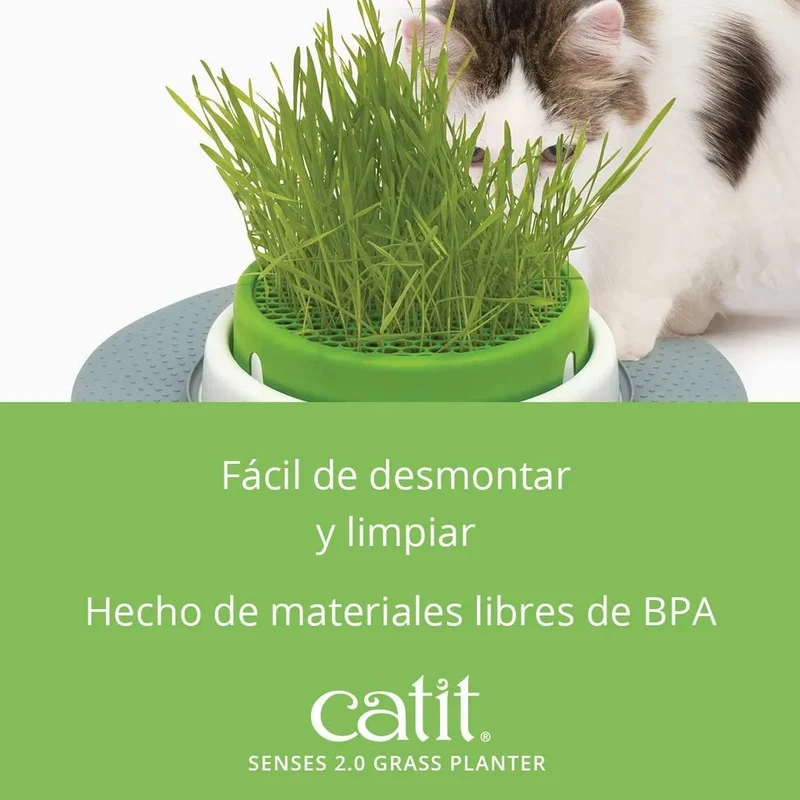 Kit Recarga Germinador para Vaso Erva Gateira (3 Unidades)
