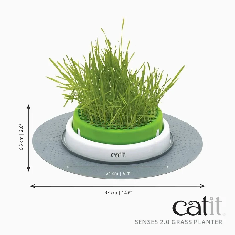 Kit Recarga Germinador para Vaso Erva Gateira (3 Unidades)