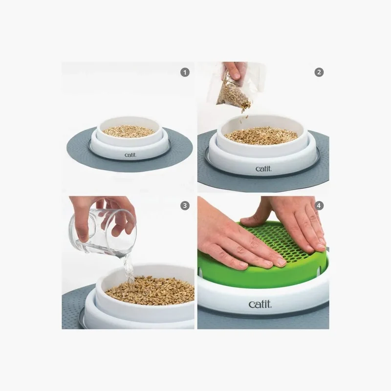 Germinador / Vaso sem Erva Gateira para Gatos