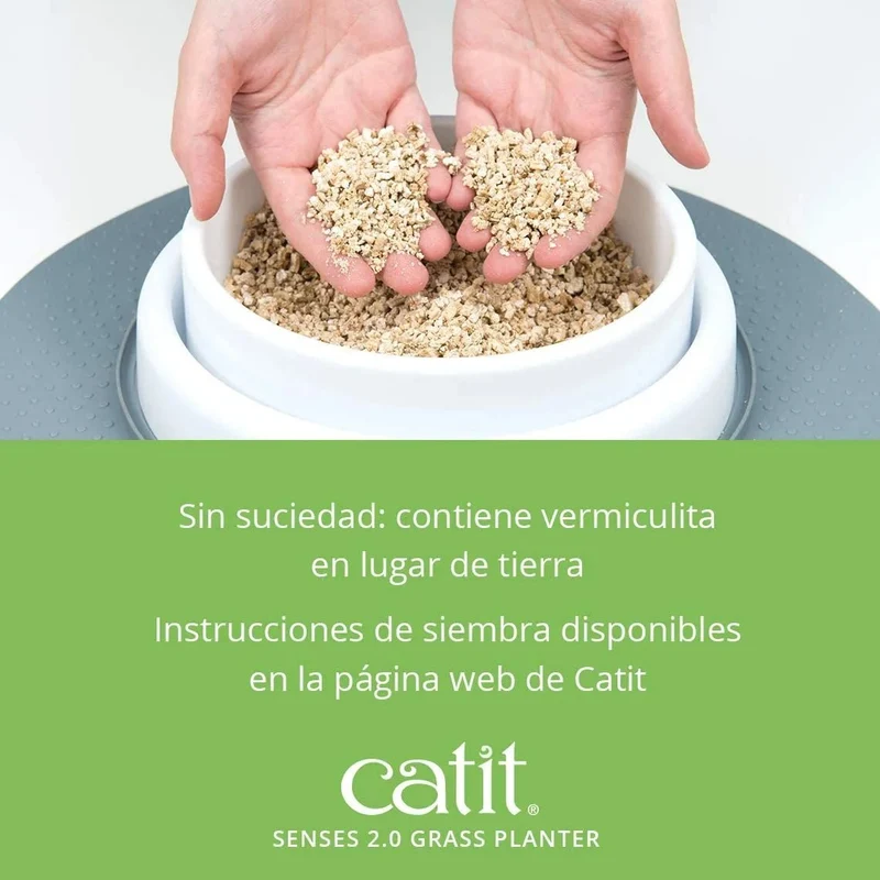 Germinador / Vaso sem Erva Gateira para Gatos