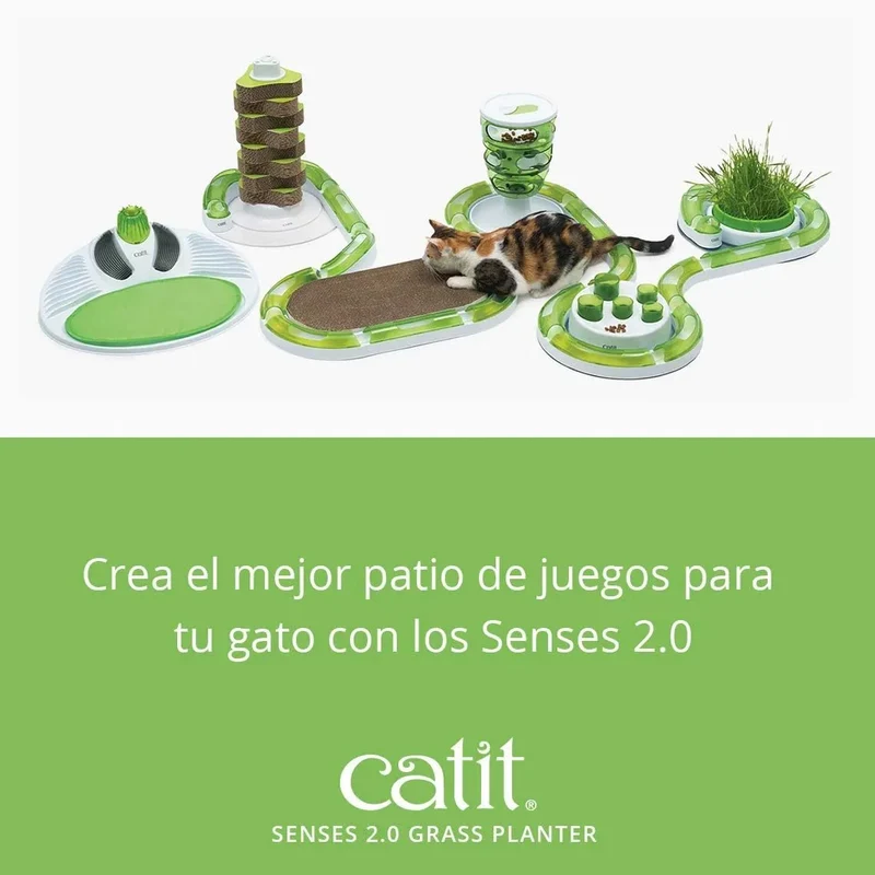 Germinador / Vaso sem Erva Gateira para Gatos