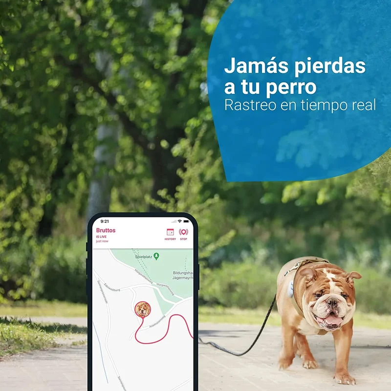 GPS para Coleira para Cães (2021) - Saiba aonde está o seu cão - Localização e Seguimento de Actividade permanente