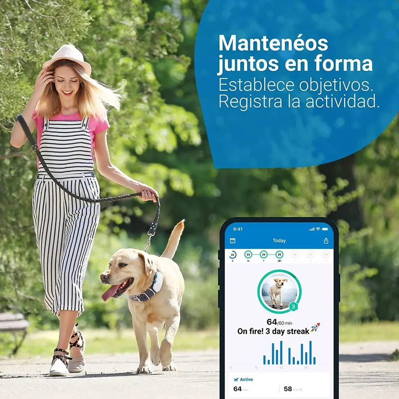 GPS para Coleira para Cães (2021) - Saiba aonde está o seu cão - Localização e Seguimento de Actividade permanente