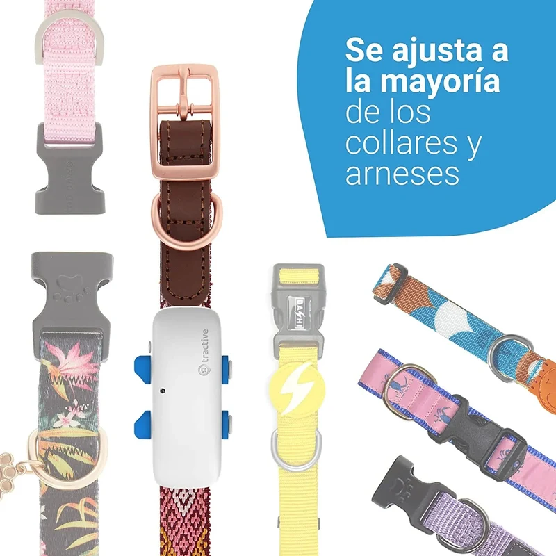 GPS para Coleira para Cães (2021) - Saiba aonde está o seu cão - Localização e Seguimento de Actividade permanente