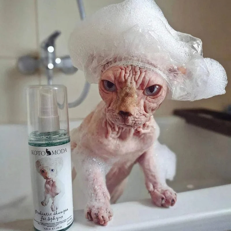 Champô Probiótico para Gatos Sphynx - 120 ml (com bomba de espuma)