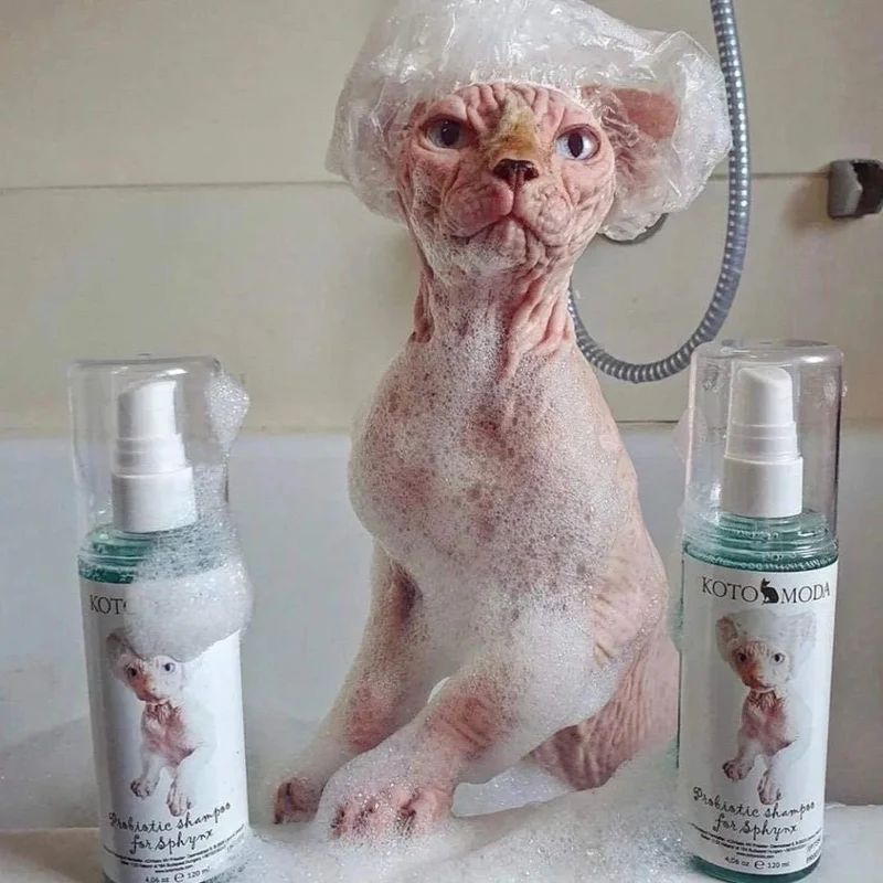 Champô Probiótico para Gatos Sphynx - 120 ml (com bomba de espuma)