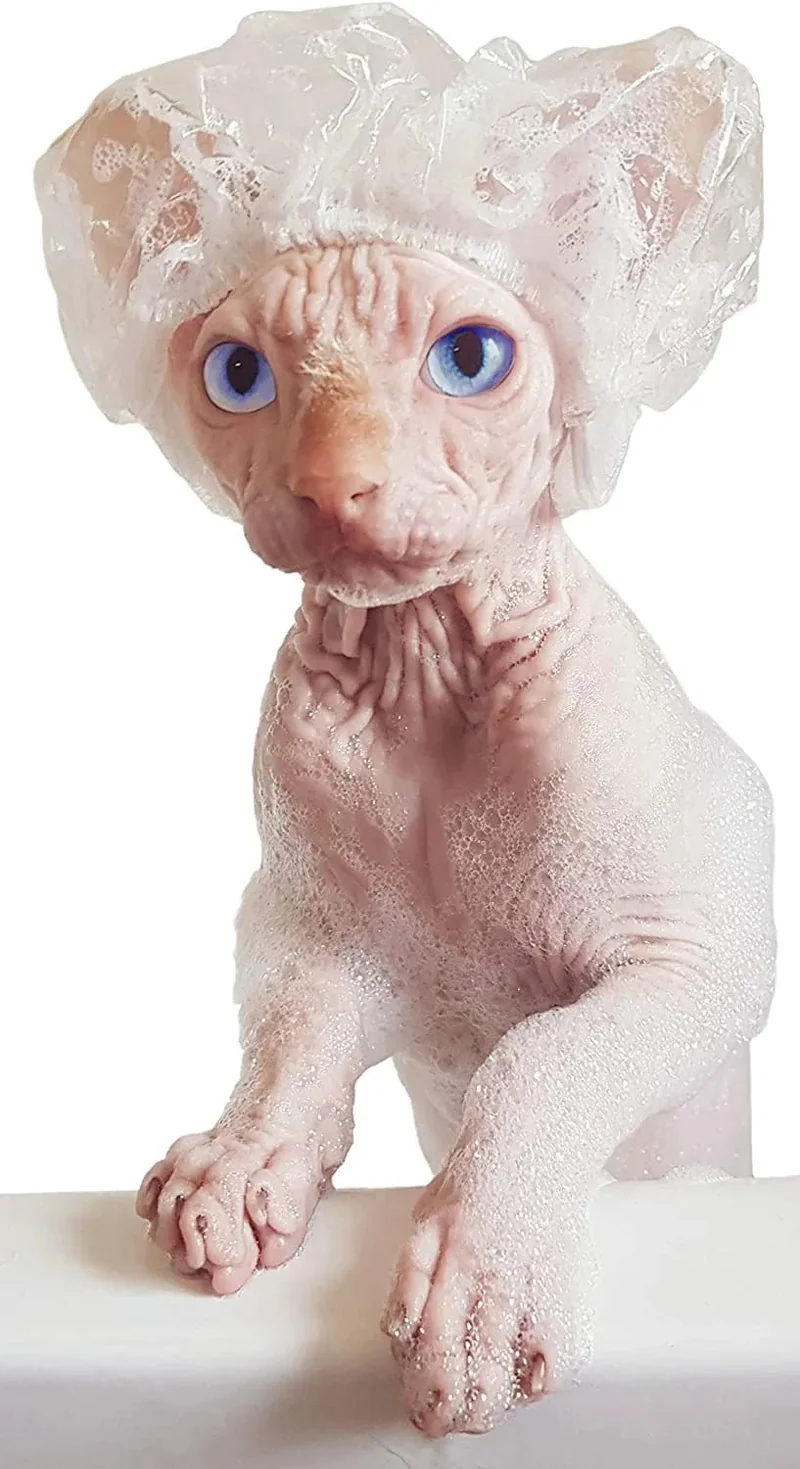 Toucas de Banho para Gatos Sphynx ou Cães de Raças Pequenas - 20 unidades